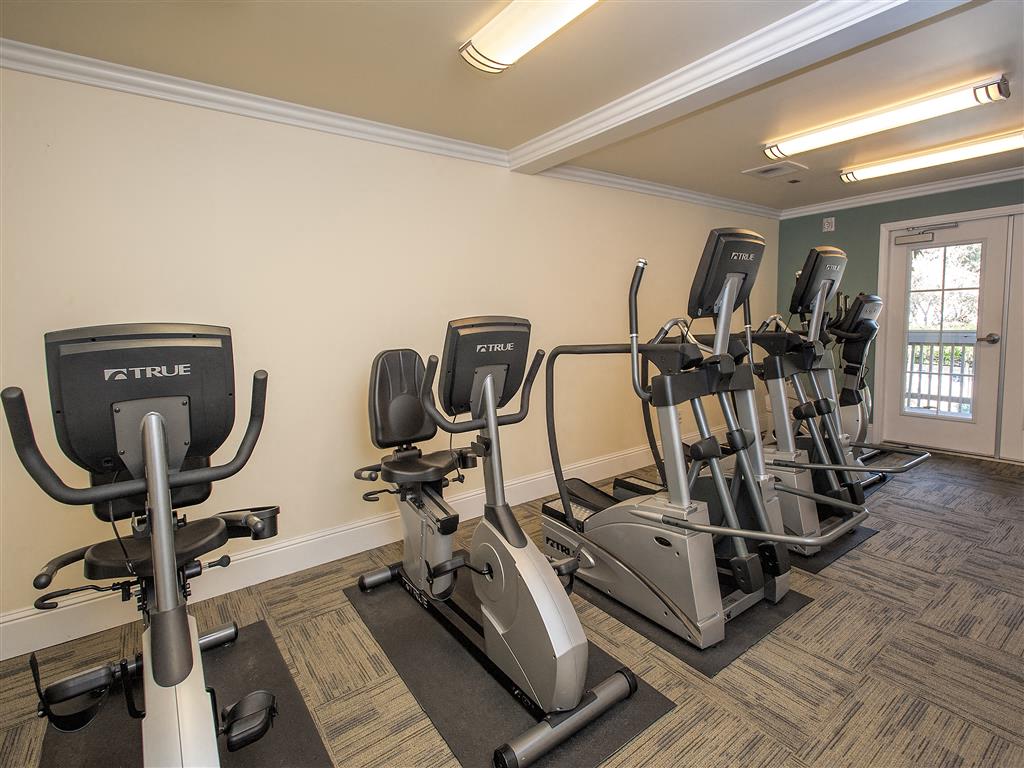 Regency Plaza Apartment Homes photo 3